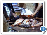 copello