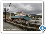 stracuzzi