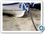 vaccarezza 2