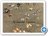vicini