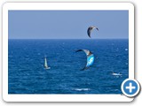 ardito mas 6
