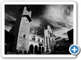 faverio 1