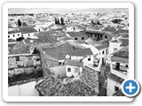 tassinari 10
