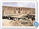 tassinari 13