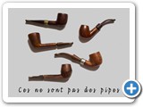 amicarelli 7